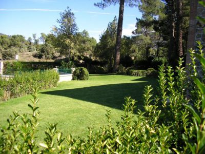 Finca de 4000 m2 con piscina en recinto vallado, barbacoa, zona de césped, aparcamiento privado...