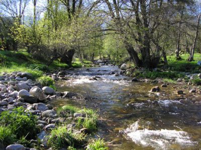 Un entorno único....junto al río Alberche y a 1 Km de la Reserva Natural del Valle de Iruelas