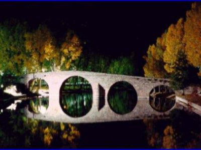 Un entorno único....junto al río Alberche y a 1 Km de la Reserva Natural del Valle de Iruelas