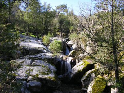 Un entorno único....junto al río Alberche y a 1 Km de la Reserva Natural del Valle de Iruelas
