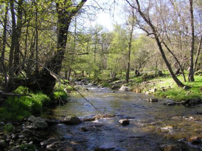 Un entorno único....junto al río Alberche y a 1 Km de la Reserva Natural del Valle de Iruelas